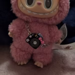 Labubu Camera​ photo review