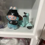 Labubu Scooter photo review