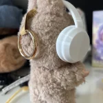 Labubu Headphone photo review