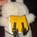 Labubu School Bag photo review