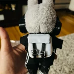 Labubu School Bag photo review