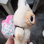 Labubu Backpack photo review