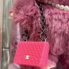 Labubu Chanel Bag